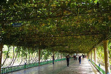 《魔兽世界》高级总监：地心之战必须全球同步发行 中国玩家不能落后